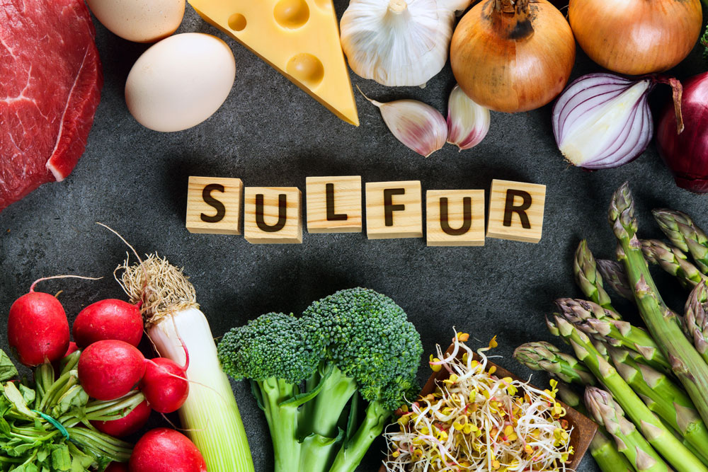 the-importance-of-sulfur-human-nutrition-msm-guide